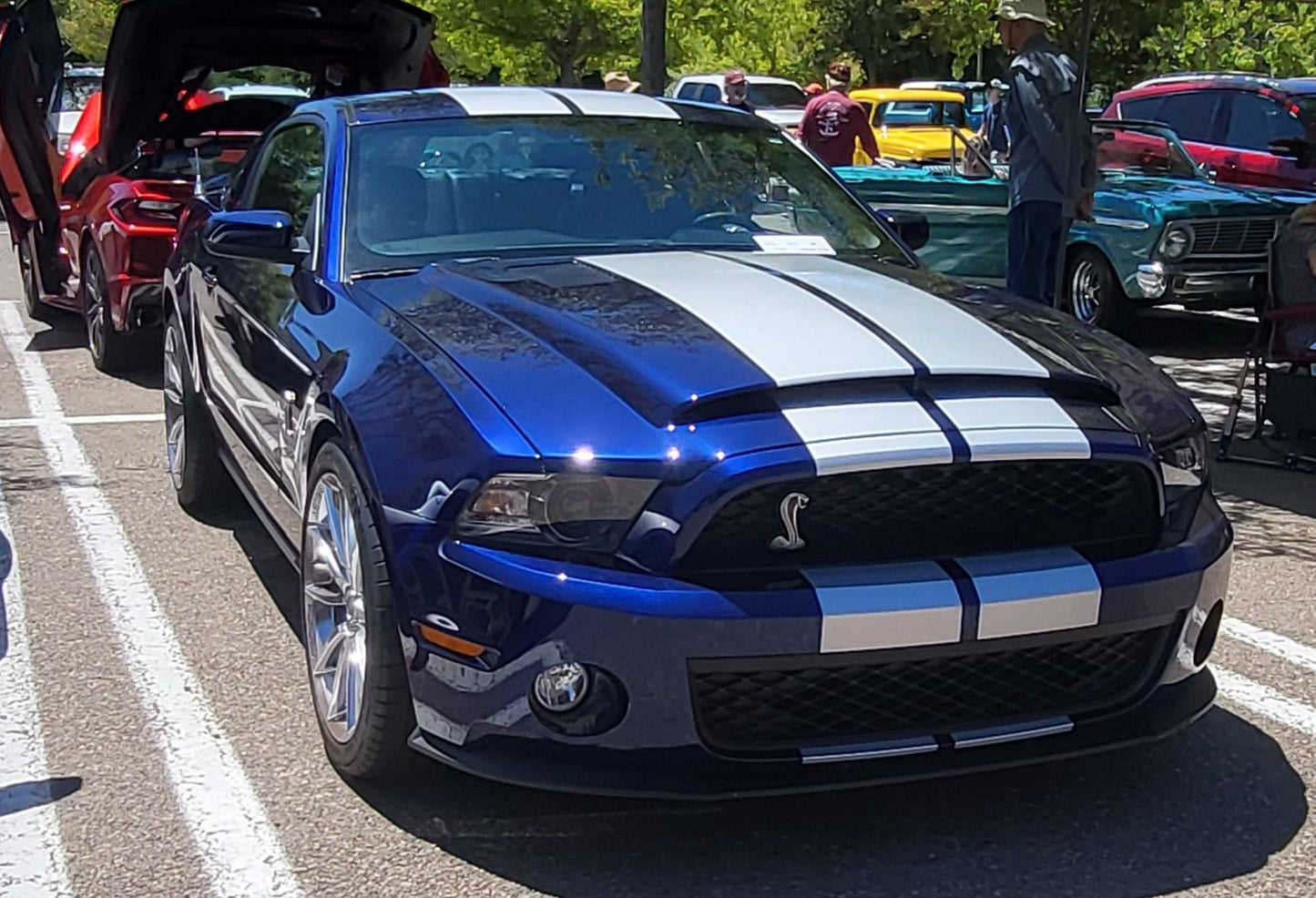 2011 Ford Shelby Mustang GT500 5.4L V8 Supercharged 6-Speed Manual 11k miles SOLD