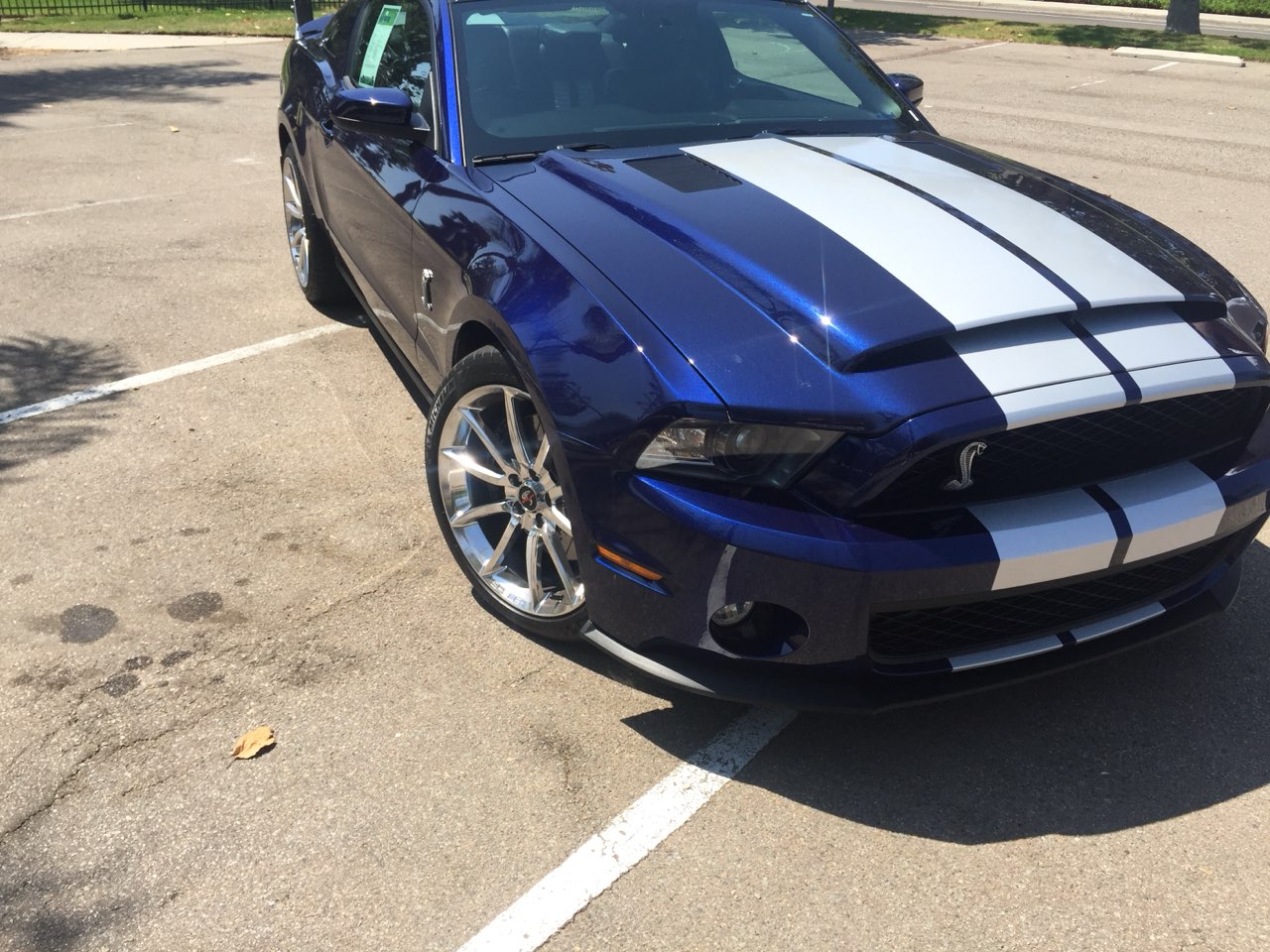 2011 Ford Shelby Mustang GT500 5.4L V8 Supercharged 6-Speed Manual 11k miles SOLD