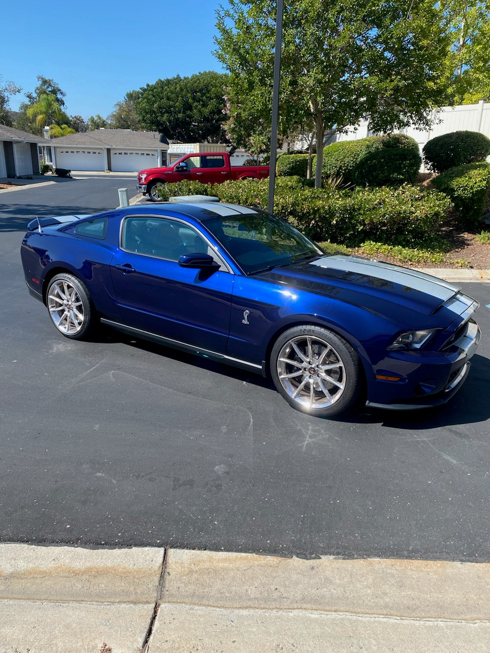 2011 Ford Shelby Mustang GT500 5.4L V8 Supercharged 6-Speed Manual 11k miles SOLD